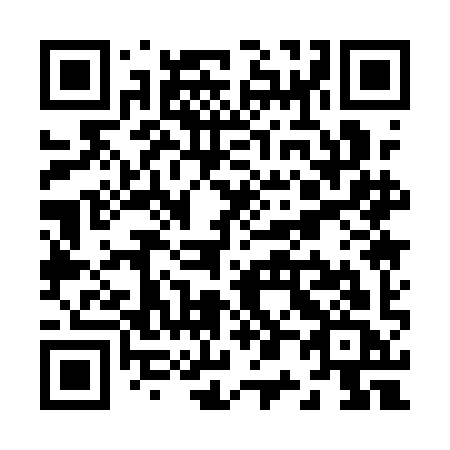QR code for Z01 1IC