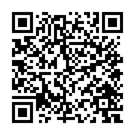 QR code for Z016T