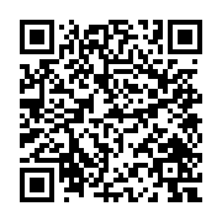 QR code for Z030T
