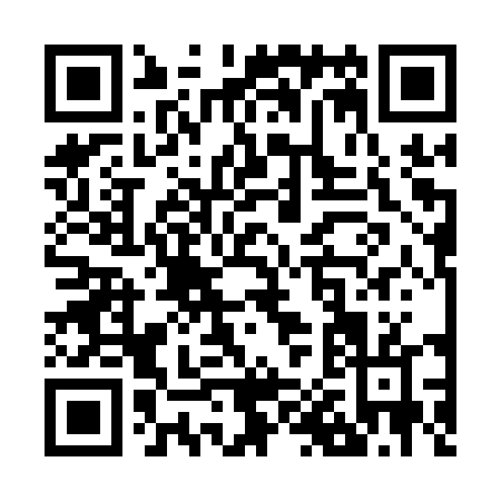 QR code for Z031T