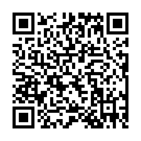 QR code for Z035L