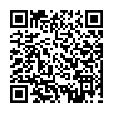QR code for Z063H