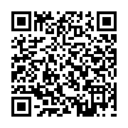 QR code for Z093P