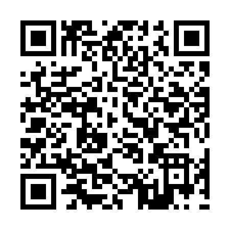 QR code for Z095N