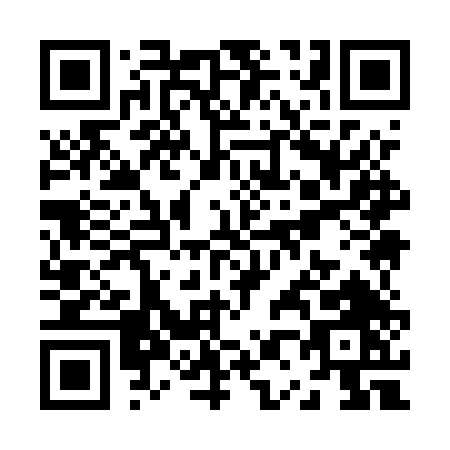 QR code for Z095T
