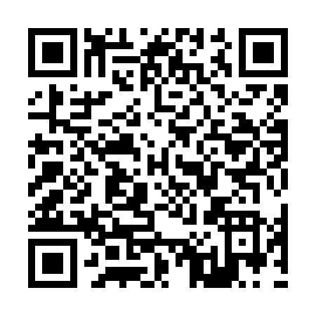 QR code for Z096N