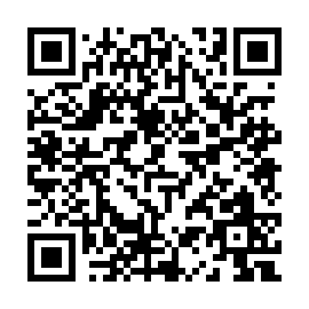 QR code for Z100C