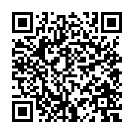 QR code for Z109P