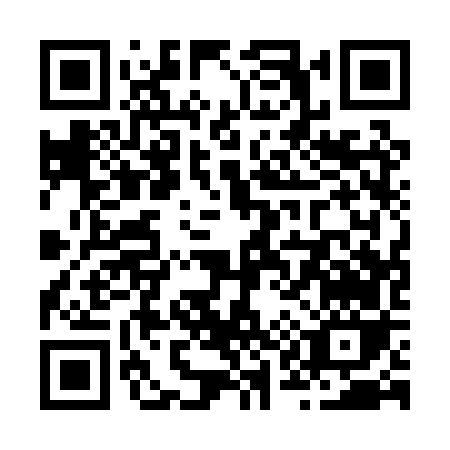 QR code for Z110V