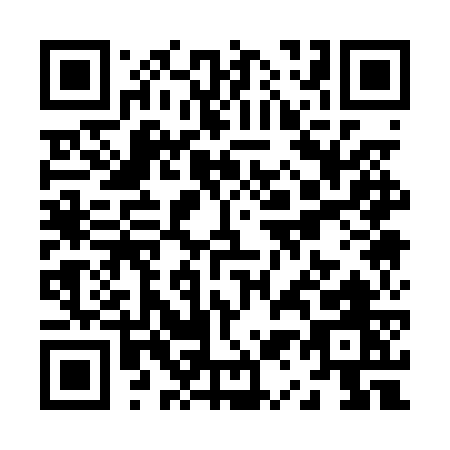 QR code for Z110W