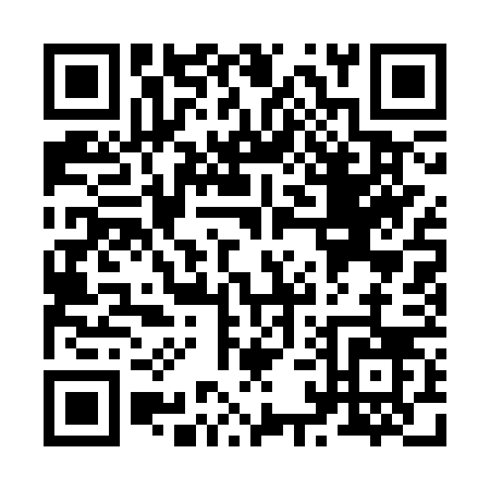 QR code for Z113V
