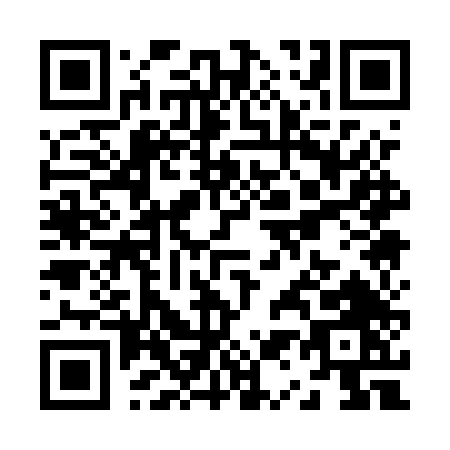 QR code for Z115T