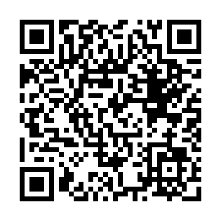 QR code for Z116T