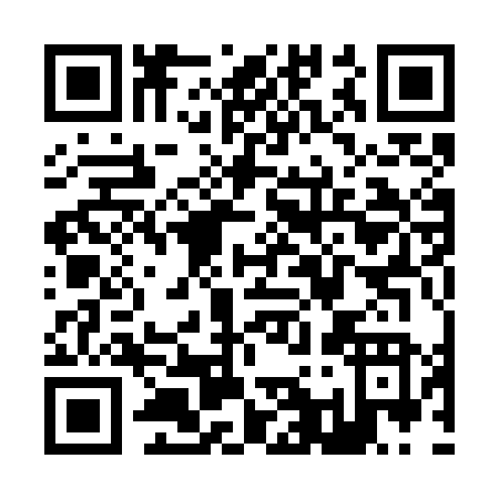 QR code for Z117N