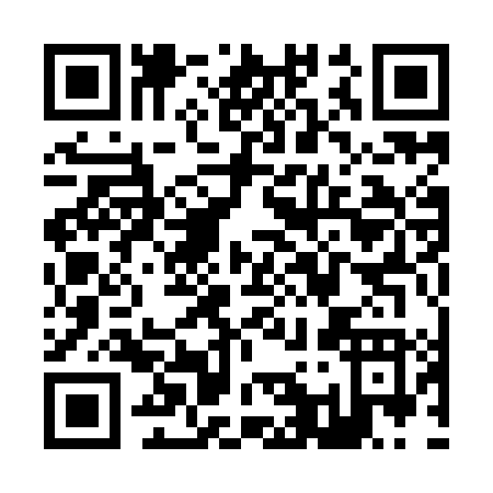 QR code for Z119L
