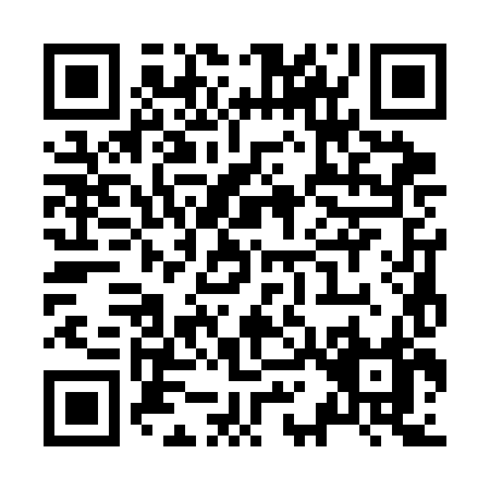 QR code for Z133H