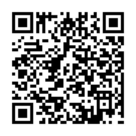 QR code for Z133T