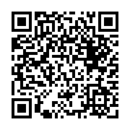 QR code for Z163G