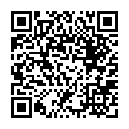 QR code for Z163J