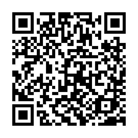 QR code for Z163NI