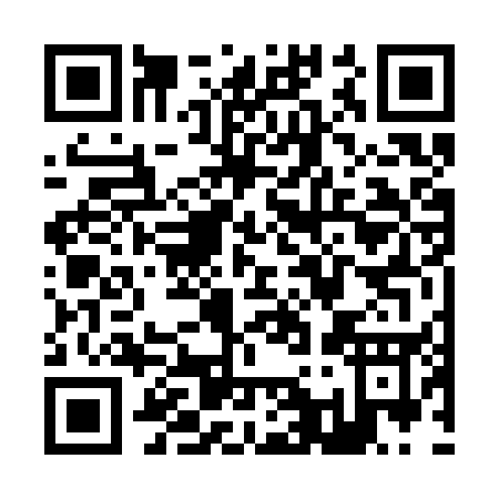 QR code for Z163U