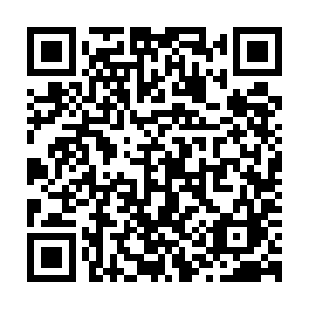 QR code for Z165IC