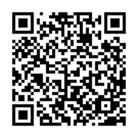 QR code for Z201ES