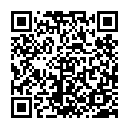 QR code for Z204GT