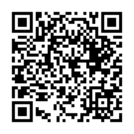 QR code for Z206N