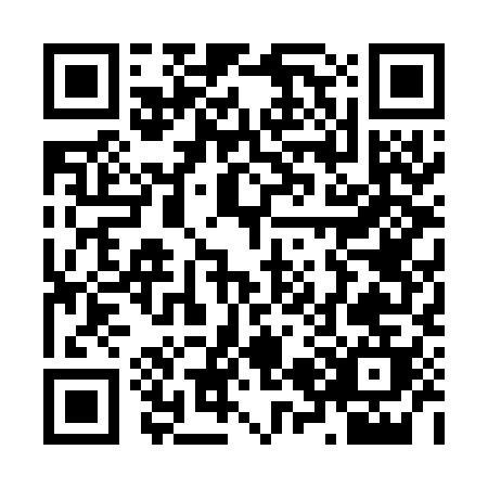 QR code for Z207I