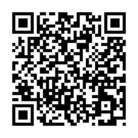 QR code for Z208I