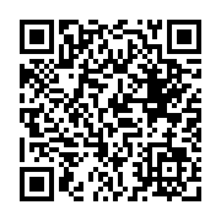 QR code for Z216T