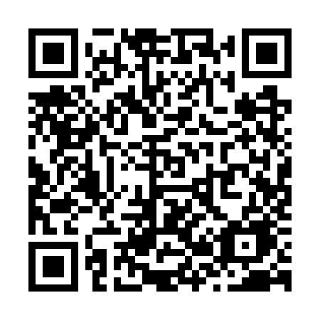 QR code for Z217ZE