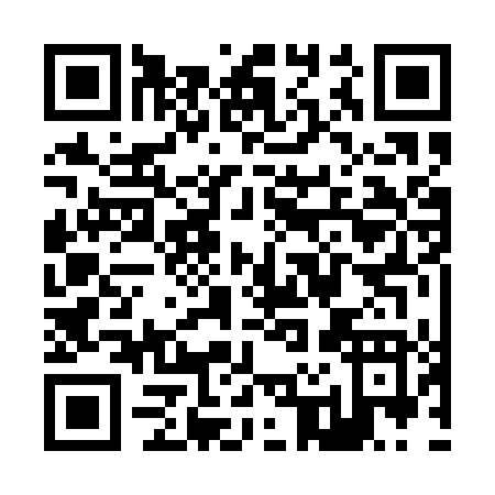 QR code for Z221T