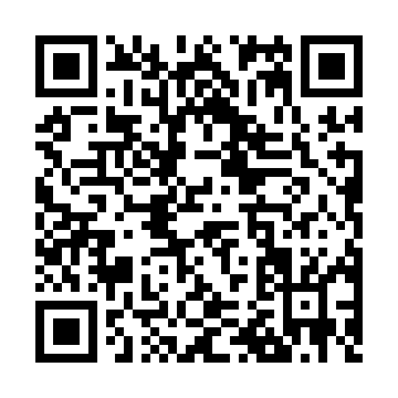 QR code for Z241M