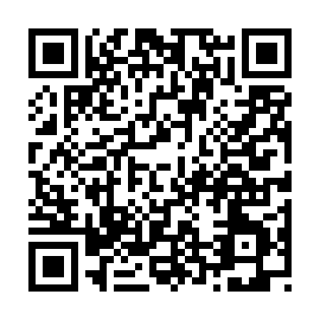 QR code for Z244P