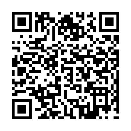 QR code for Z272T