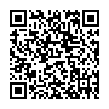 QR code for Z281L