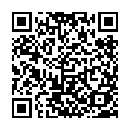 QR code for plate Z29 2MI