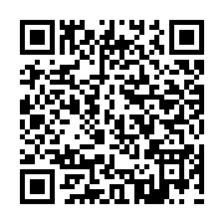 QR code for Z293Q