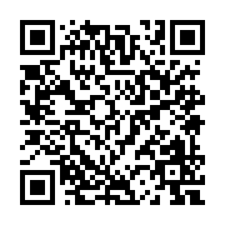 QR code for Z294I