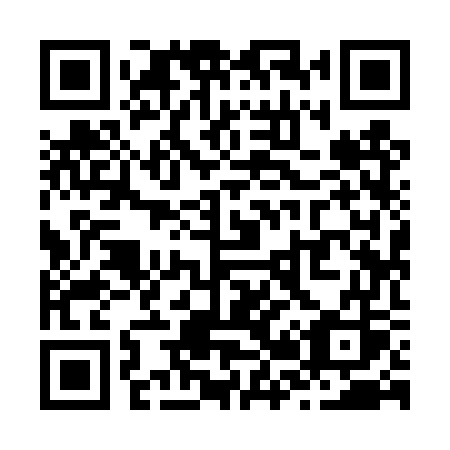 QR code for plate Z29 4WS