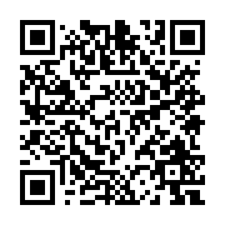 QR code for Z294Z