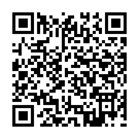 QR code for Z295C