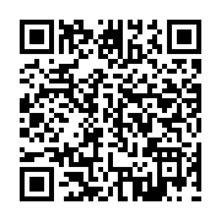 QR code for Z295R