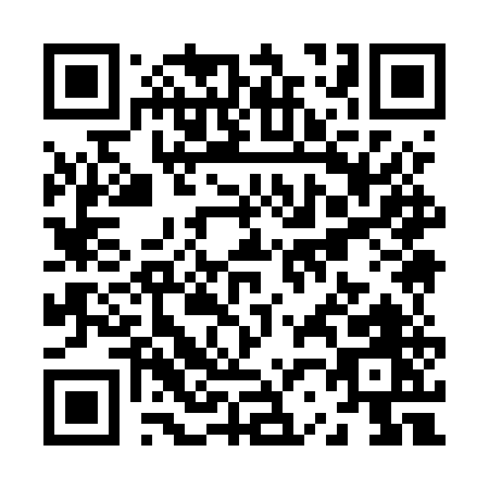 QR code for Z295U