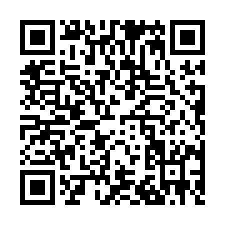 QR code for Z301I