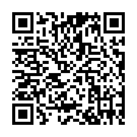 QR code for Z301P