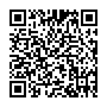 QR code for Z303M
