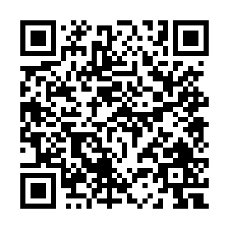 QR code for Z304V